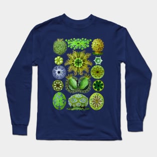 Ernst Haeckel Ascidiae Sea Squirts Green Long Sleeve T-Shirt